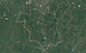 Jasa Sedot WC Diwek Jombang