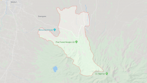 Jasa Sedot WC Kare Madiun