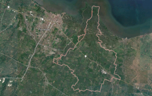 Jasa Sedot WC Rejoso Pasuruan