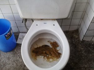 Cara membedakan wc tersumbat dan penuh