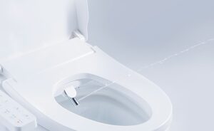 Cara cebok di wc duduk