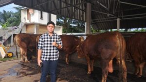 Pengolahan limbah peternakan mengurangi dampak negatif terhadap lingkungan