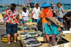 Jenis ikan yang mengandung protein tinggi