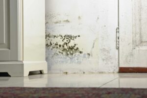 Cara mengatasi dinding lembab di rumah